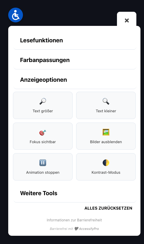 AccessifyPro Plugin Hauptansicht
